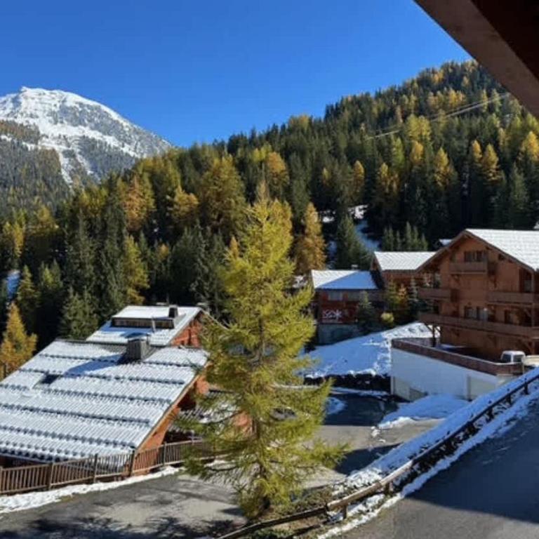 Balcon Alpin - Appartement 2 Chambres - 23
