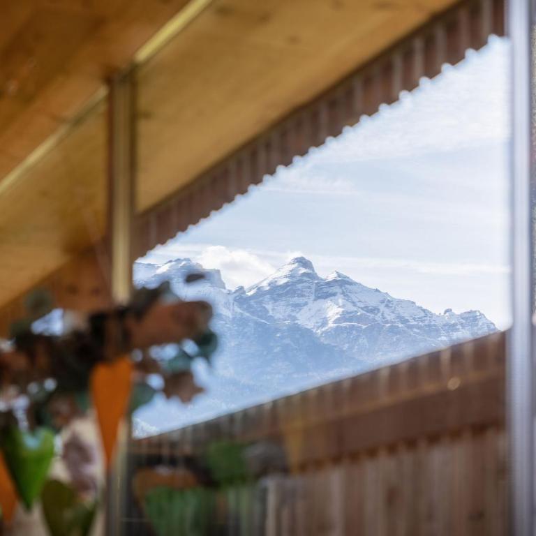 Ferienhaus Alpin, Apartment 1 - Apartment mit 1 Schlafzimmer und Garten - 10
