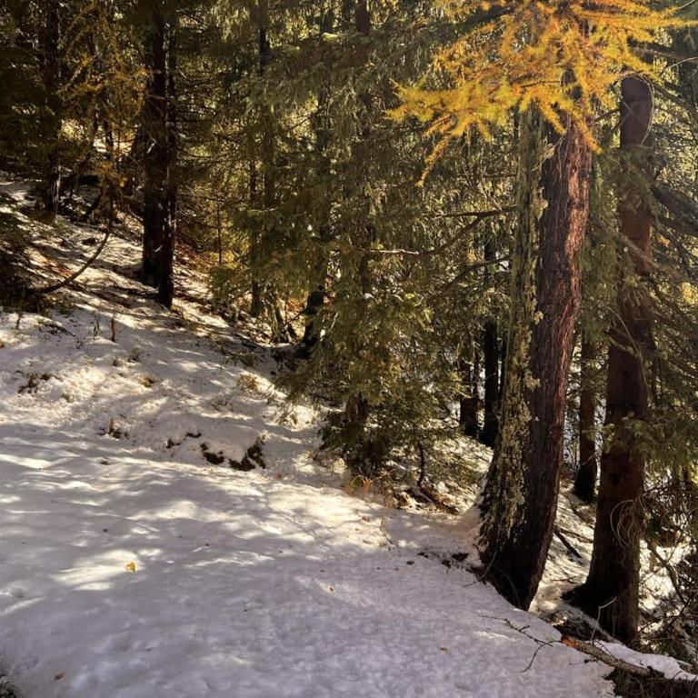 Neiges & Piscine - Appartement 1 Chambre - 11