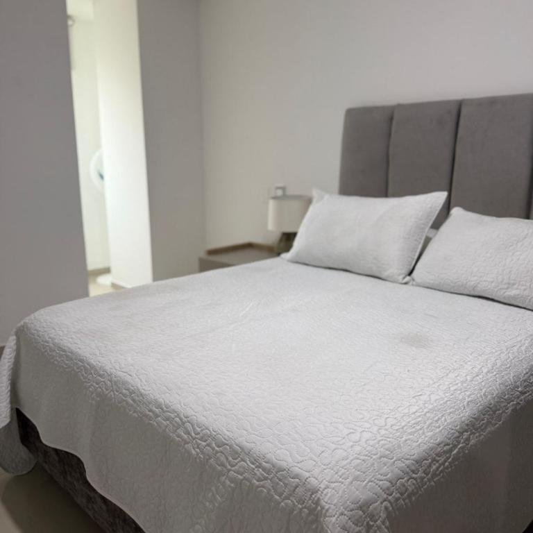 apartamento amoblado sotomayor - Apartamento de 2 dormitorios - 3