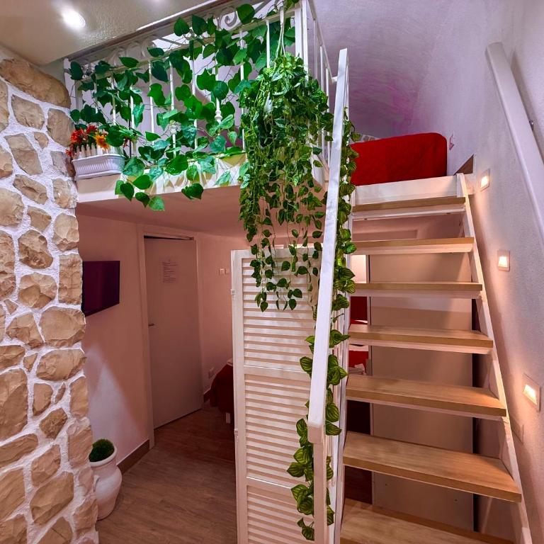 Le Chalet Palermo Centro - Appartamento - 10