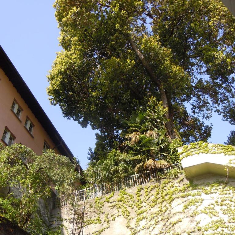 Swiss Lodge Nassa Garni - Camera Economy Doppia con Letti Singoli e Vista sul Cortile sul Retro - 10