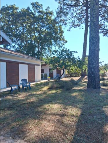 VILLA des 4 pins avec piscine - Villa 3 Chambres - 19