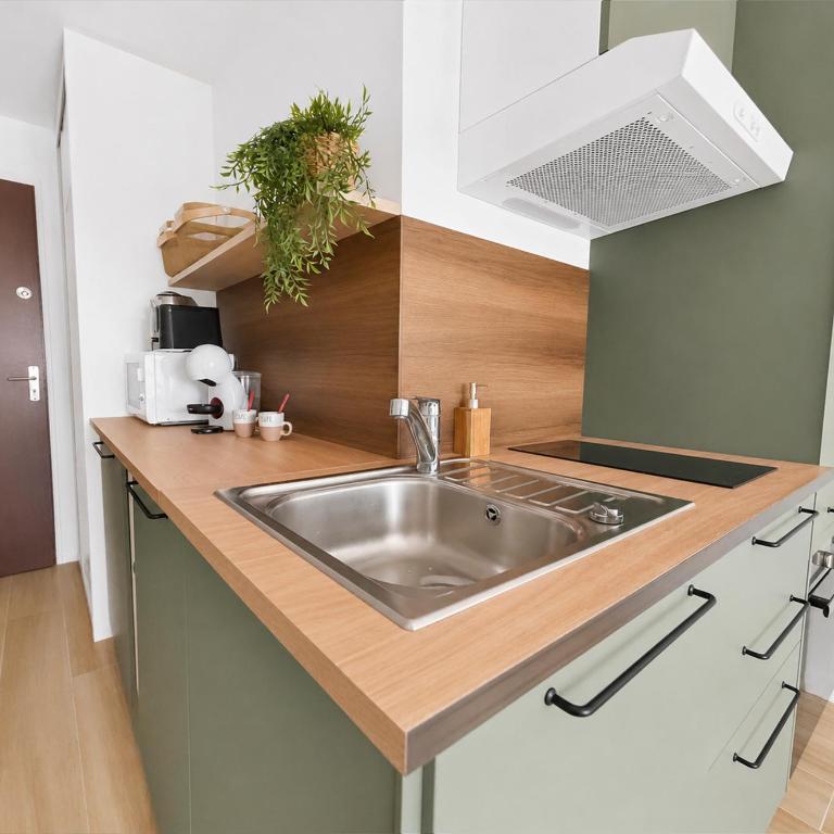 T2, moderne, balcon avec vue mer et parking privé - Apartment mit 1 Schlafzimmer - 11