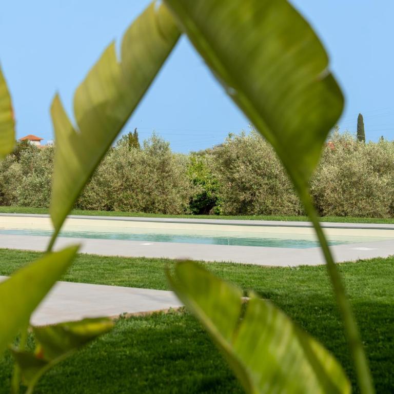Villa Marra Sicilymyhome - Villa - 56