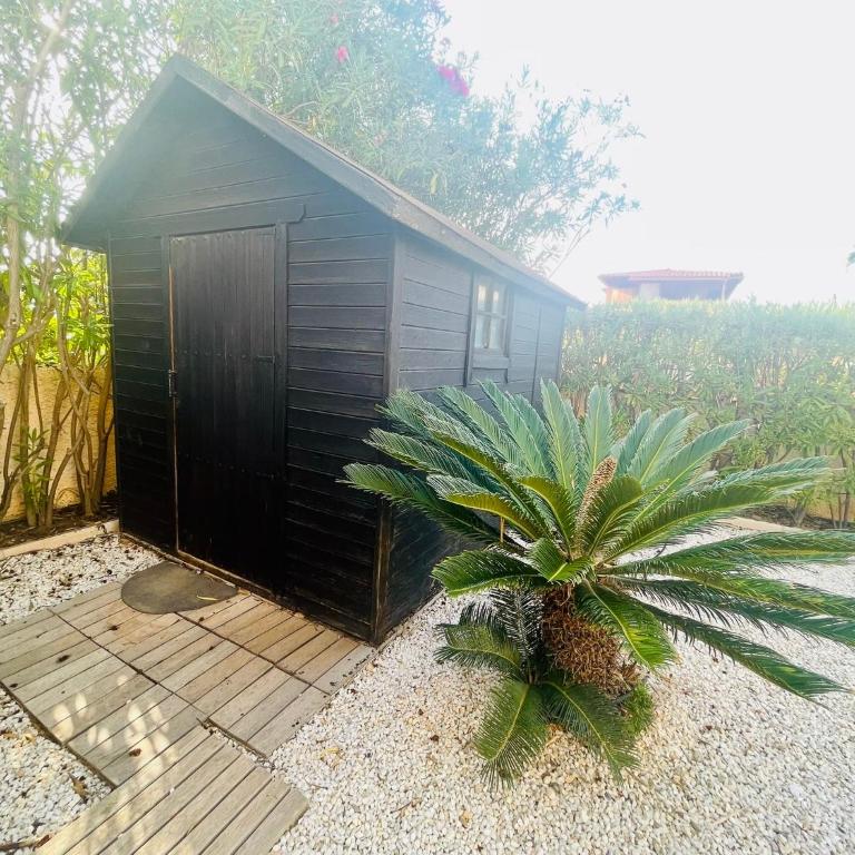 Casa Los Flamingos - Casa de 3 dormitorios - 45