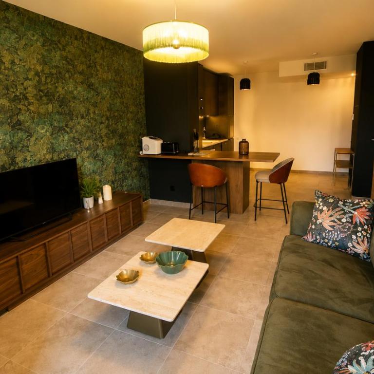 Superbe Appartement - Centre Calvi - Parking privé - Appartement 1 Chambre - 17