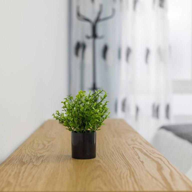 SG Beach City Studio - One-Bedroom Apartment - 17