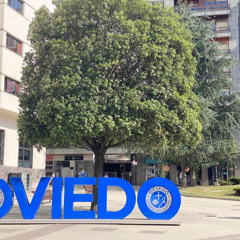 Oviedo desde el corazón de la ciudad VUT-6684-AS - Appartement 3 Chambres - 45