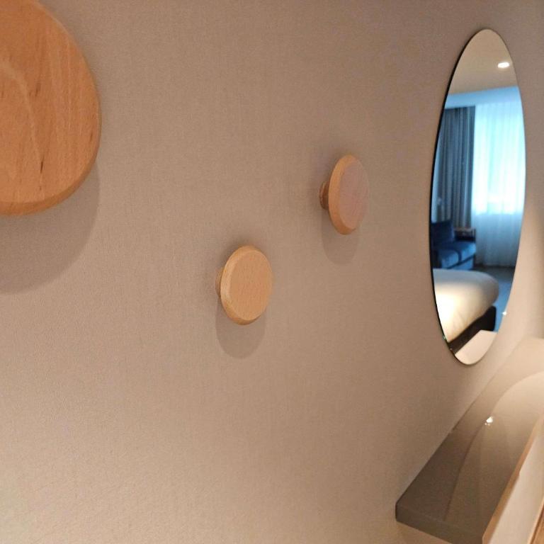 Aparthotel Adagio Genève Mont-Blanc - Chambre Standard avec Un Lit Double & Un Canapé-Lit - 6