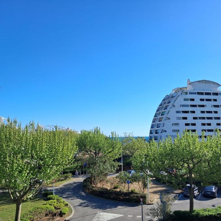 Studio 100m de la plage - One-Bedroom Apartment - 17