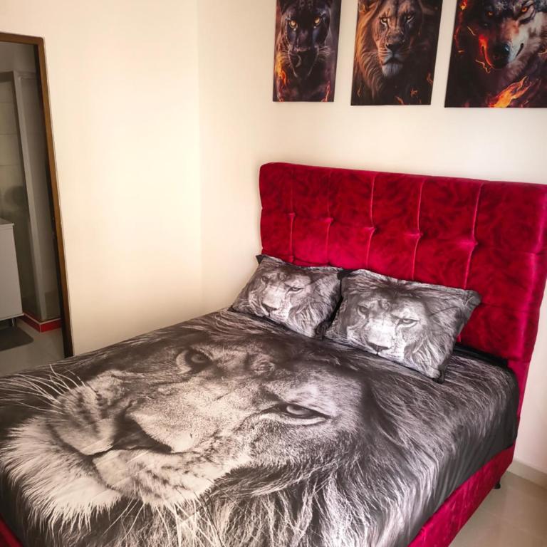Apartaestudio cómodo y centrico - Apartamento de 1 dormitorio - 27