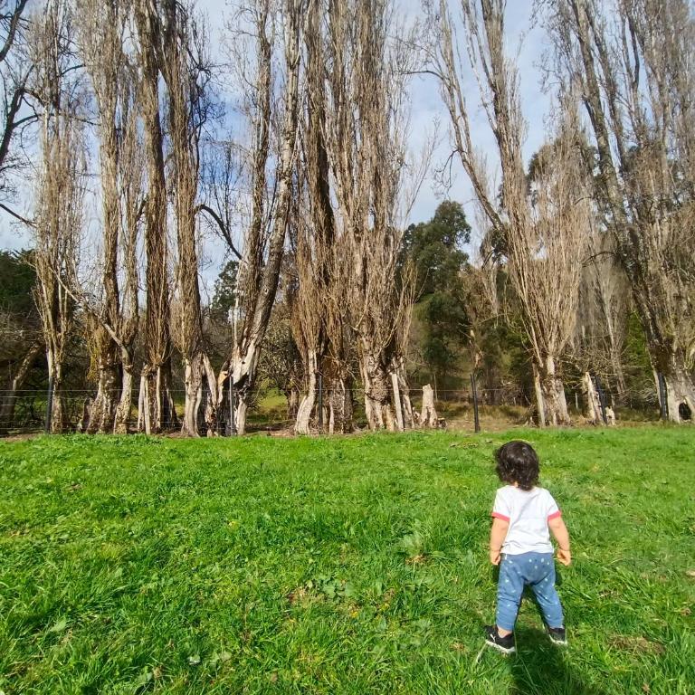 Alojamiento con acceso a playa y naturaleza - Casa con 1 dormitorio - 18