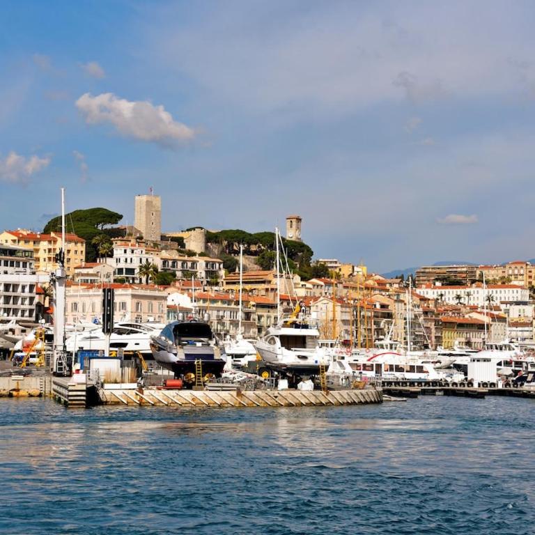 Villa Jaliel I Cannes French Riviera I 270m2 I Spa I 10 minutes du centre-ville I 12 personnes - Villa 1 Chambre - 68