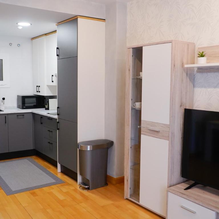 La esencia de Burgos - Apartamento de 1 dormitorio - 4