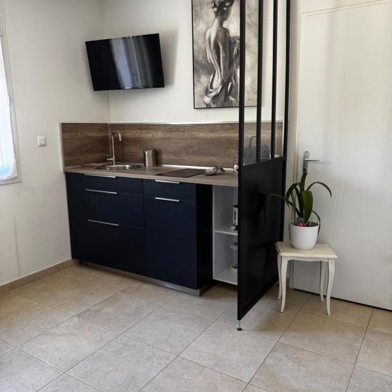 Appartement en villa au coeur du Var - Appartement 1 Chambre - 11