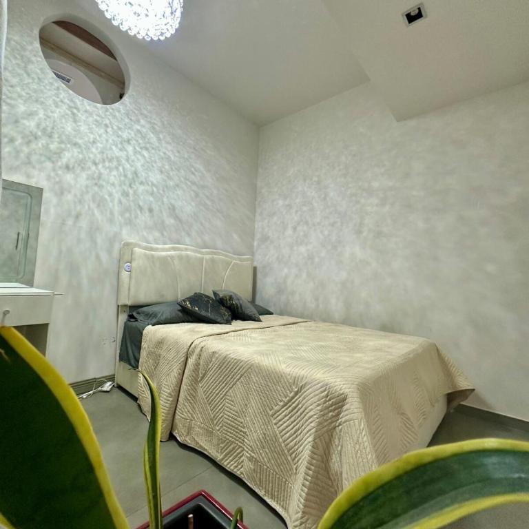 2 Bedrooms San Pedro - Apartamento de 3 dormitorios - 4