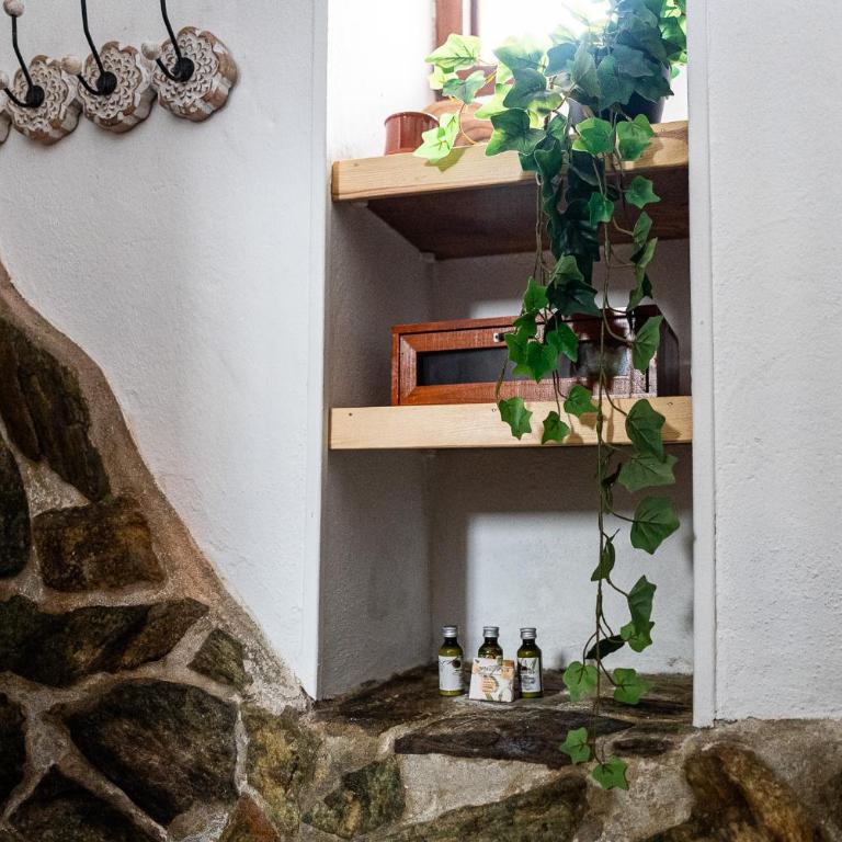 Casita La Hoya - Apartment mit 1 Schlafzimmer - 11