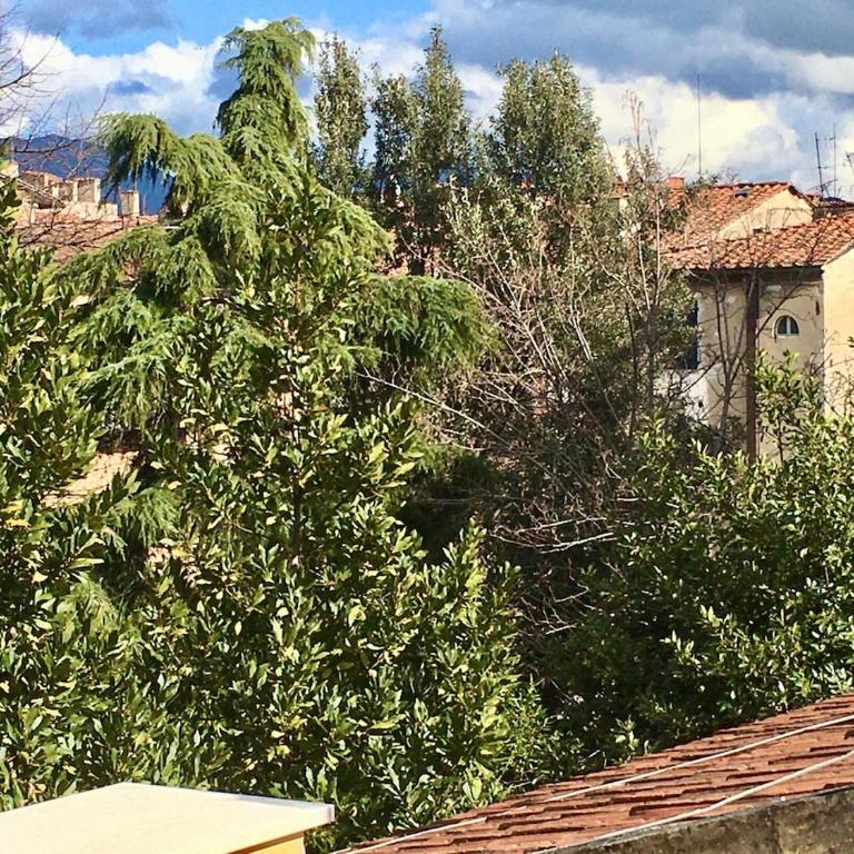 Large renovated apartment in the center of Pisa - Appartamento Premium con 3 Camere da Letto e Balcone - 37
