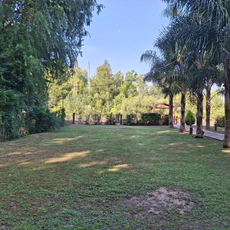 Isla Río casa en el Delta - Casa - 21