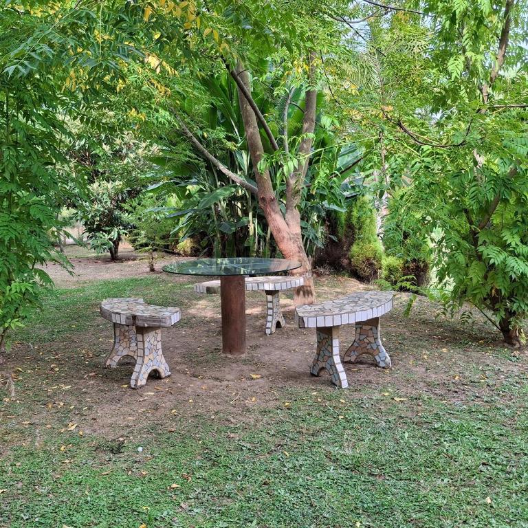 Isla Río casa en el Delta - Casa - 25