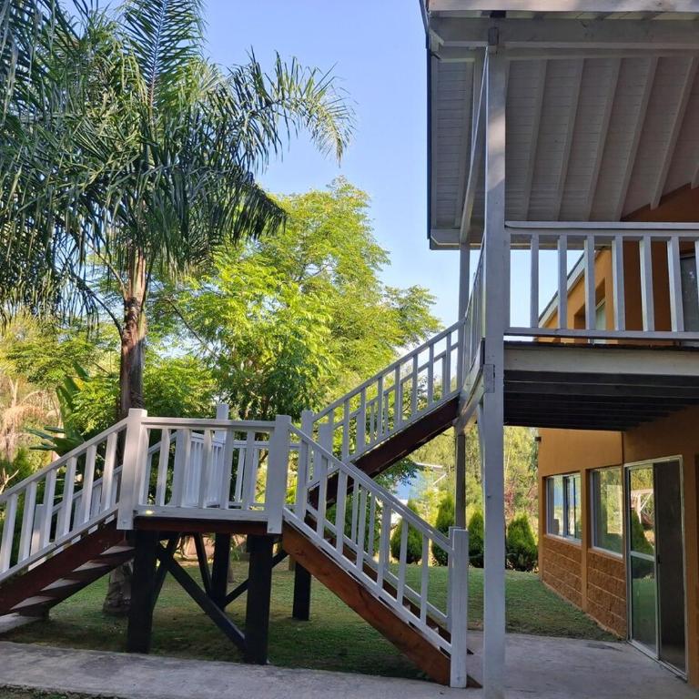 Isla Río casa en el Delta - Casa - 29