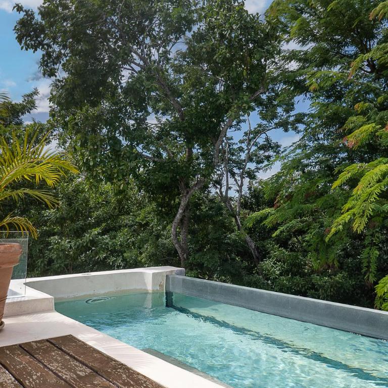 Mayan Culture Villa with Rooftop Pool - Villa - 59