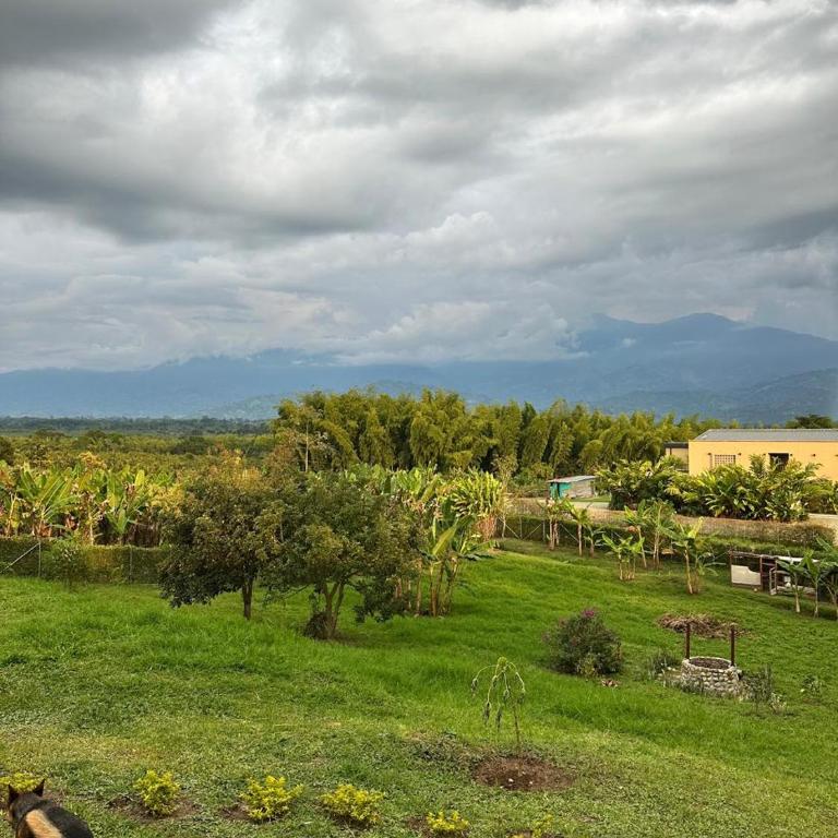Villa Milena - Private Coffee Region Cabin - Villa de 1 dormitorio - 7