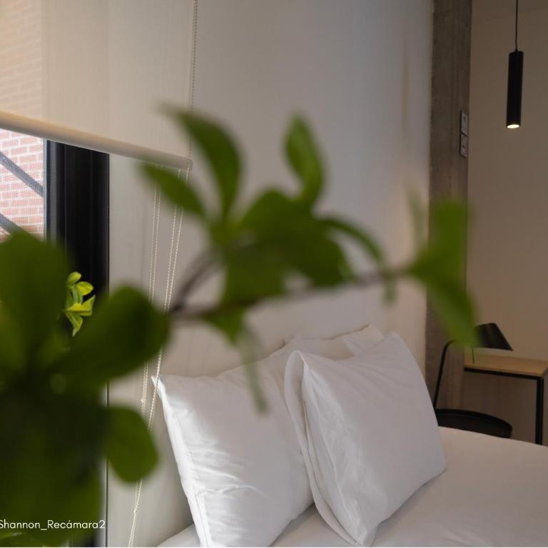 Casa Antena - Three-Bedroom Apartment with Balcony - 8