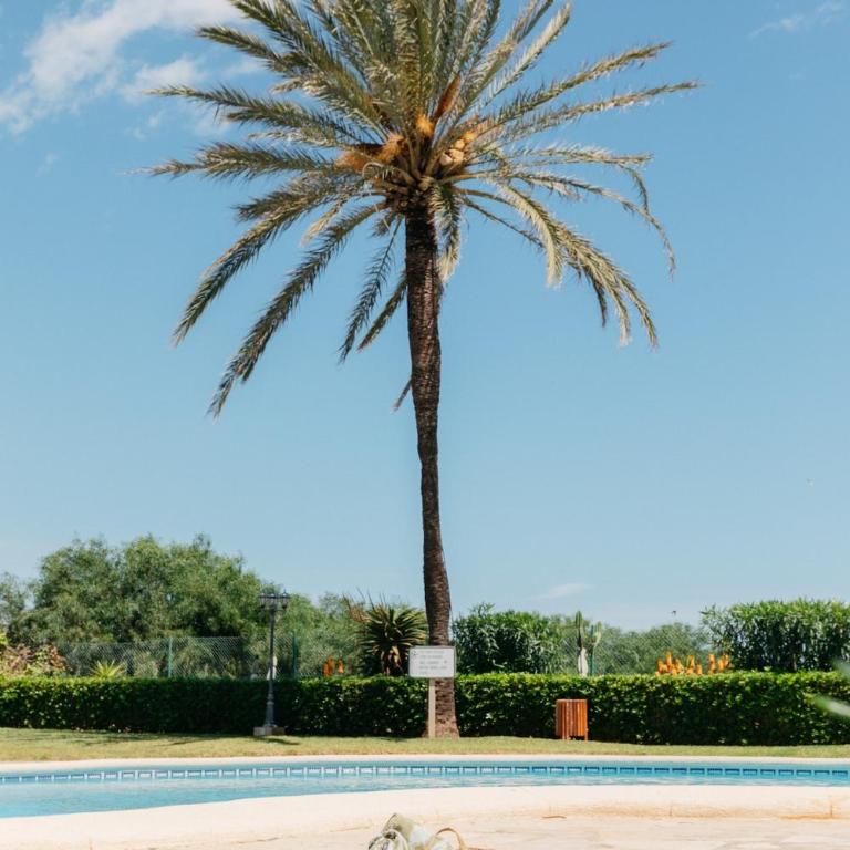 First Line with Pool, Ideal for Families - Two-Bedroom Apartment - 66