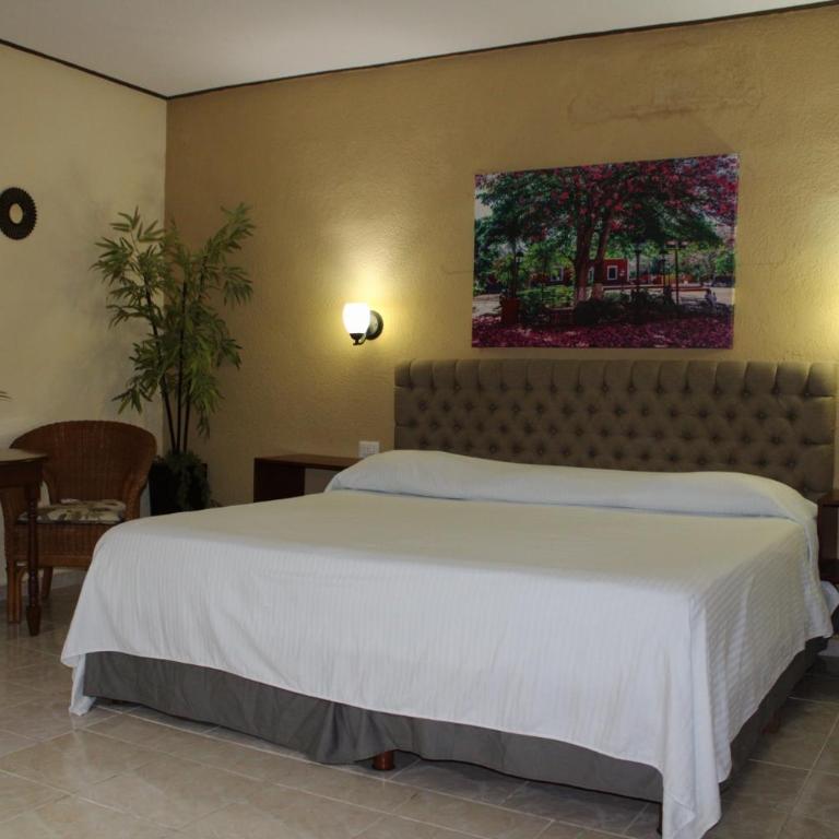 Hotel María de la Luz - Habitación Estándar - Cama extragrande - 1