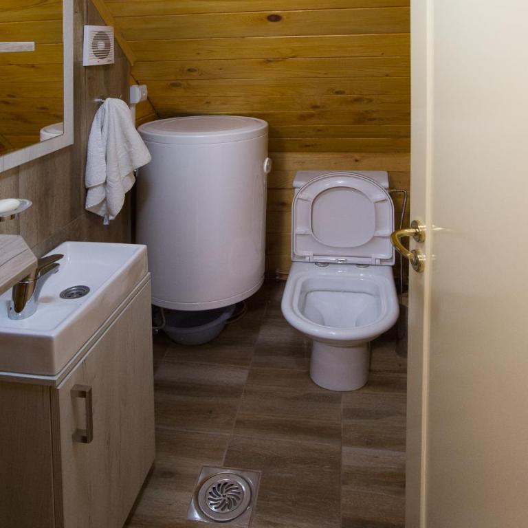 Vila Dizdarevic Kopaonik - Vacation Home - 28