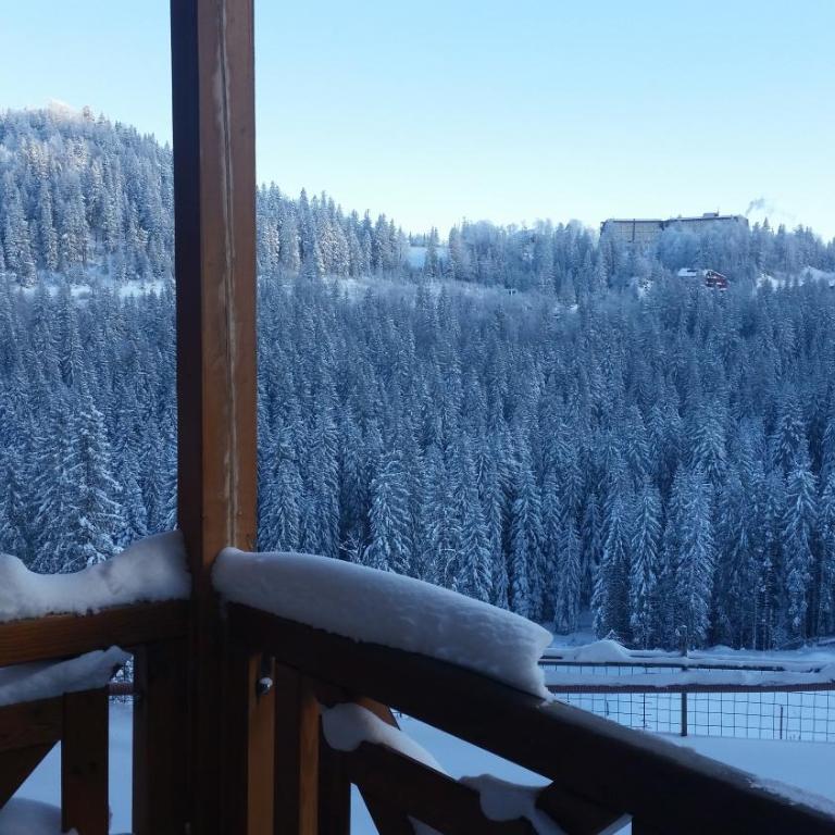 Studio Apartment 134B - Studio Apartment - 9