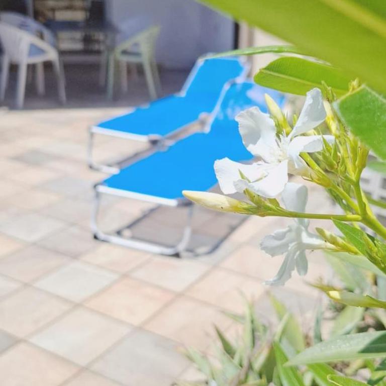 Villa village naturiste cap d'Agde Zénitude 41 - Villa mit 2 Schlafzimmern - 7