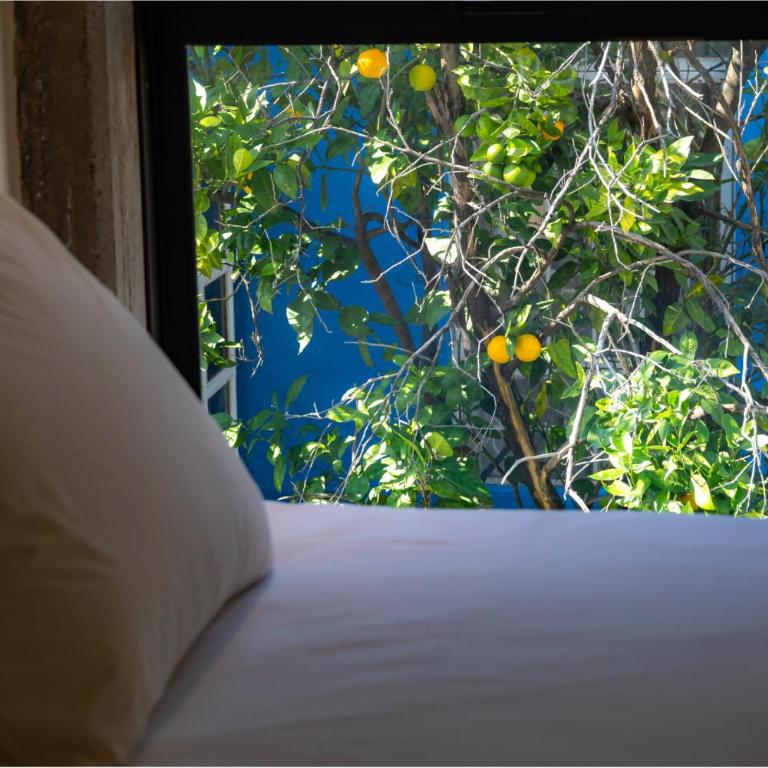 Casa Antena - Three-Bedroom Apartment with Balcony - 45