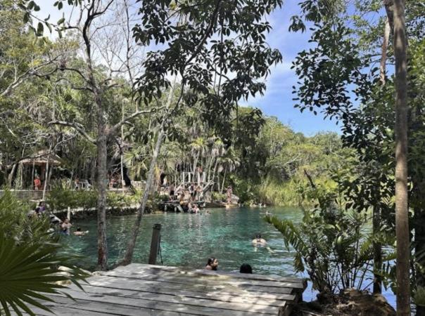 Elegant King Suite - Private Plunge Pool - Apartamento de 1 dormitorio - 7