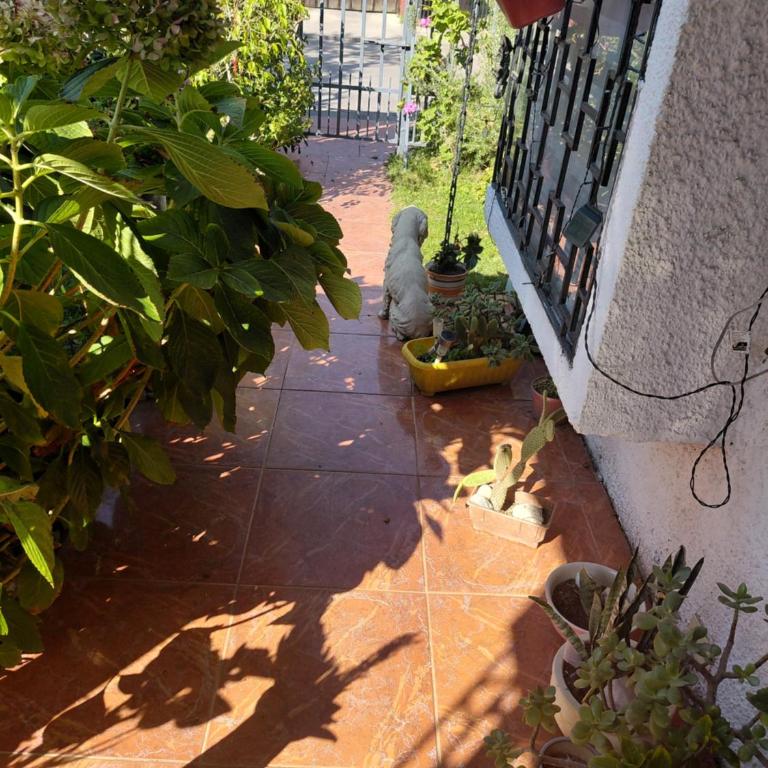 Valentinahause - Apartamento de 1 dormitorio - 2