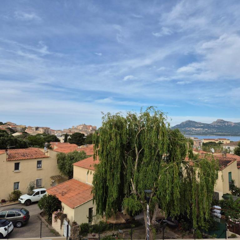 Superbe T2 climatisé avec terrasse vue mer & citadelle - Apartment mit 1 Schlafzimmer - 3