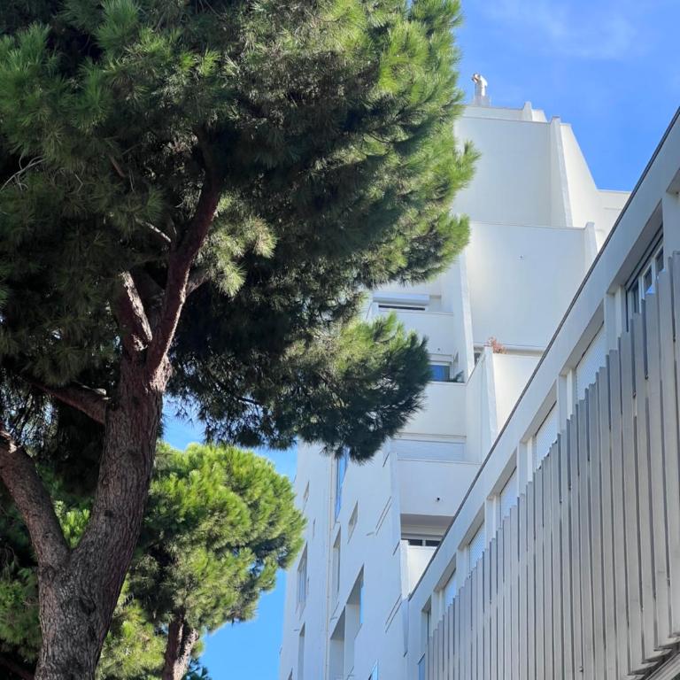 Les Appartements De Lina - Le Louis Dort - Self Check-In - - Apartamento de 1 dormitorio - 2