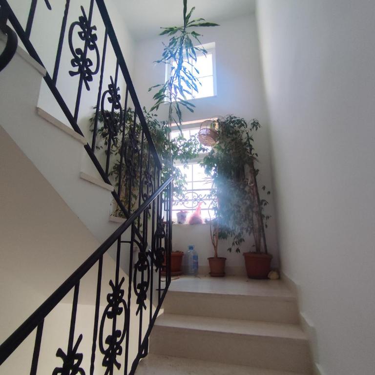 Apartman Rai - One-Bedroom Apartment - 5