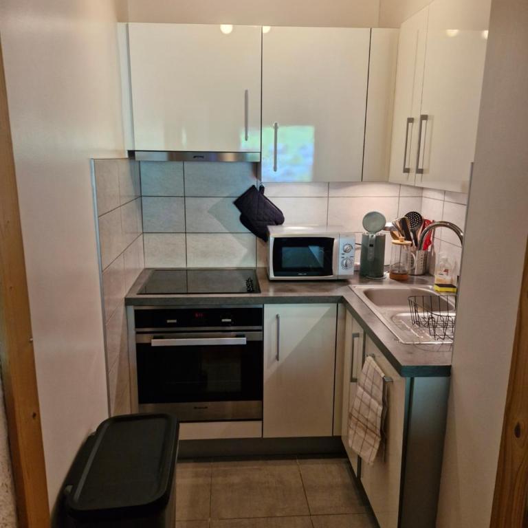 Cocon Chaleureux au pied des pistes et des chemins - 5 pers - 1 chambre et 1 mezzanine - avec garage - One-Bedroom Apartment with Balcony and Mountain View - 9