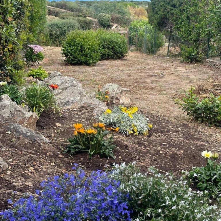 Stintino vista mare l'ancora - Casa Vacanze - 90