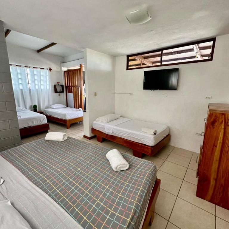 Ph con terraza privada vista a la bahia - Apartamento de 1 dormitorio - 7