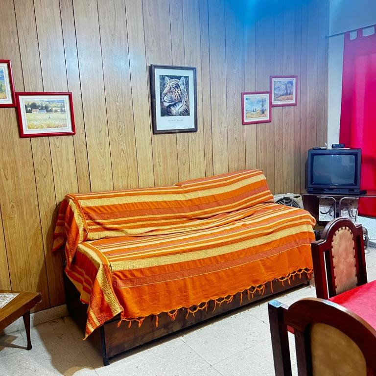 Marjo - Apartamento de 1 dormitorio - 4