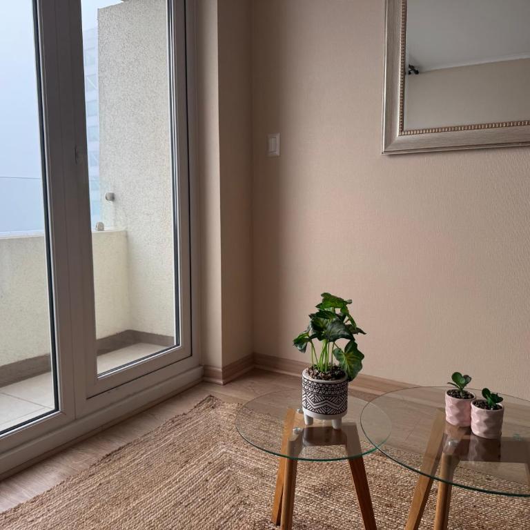 Alto Arrayán - Deluxe Room - 17