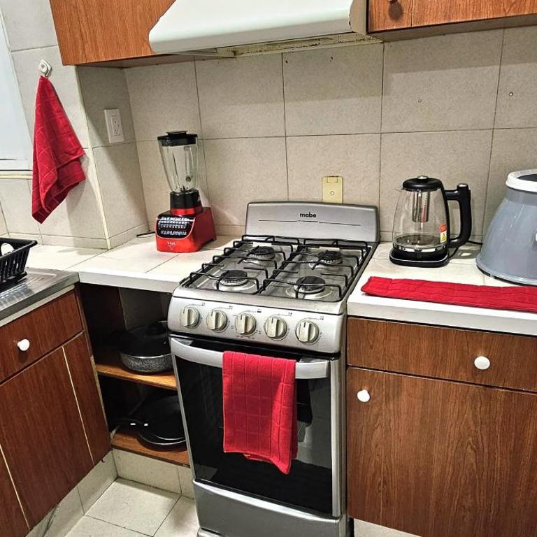 Encantador departamento en polanco cdmx - Two-Bedroom Apartment - 7