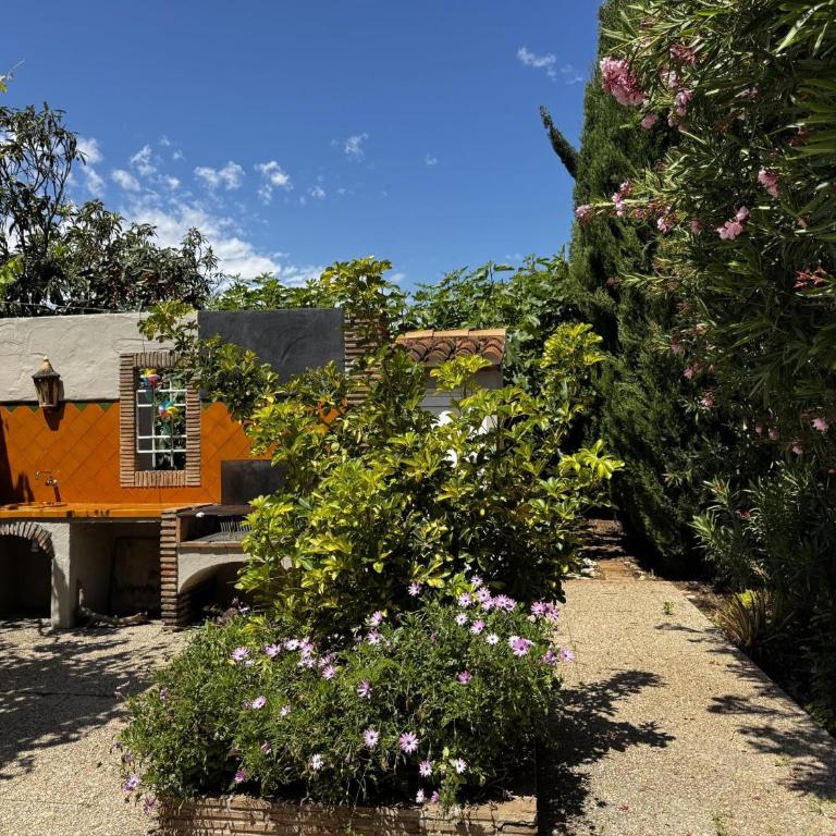 Casa de playa - pers. - ES-373-88 - Vacation Home - 20