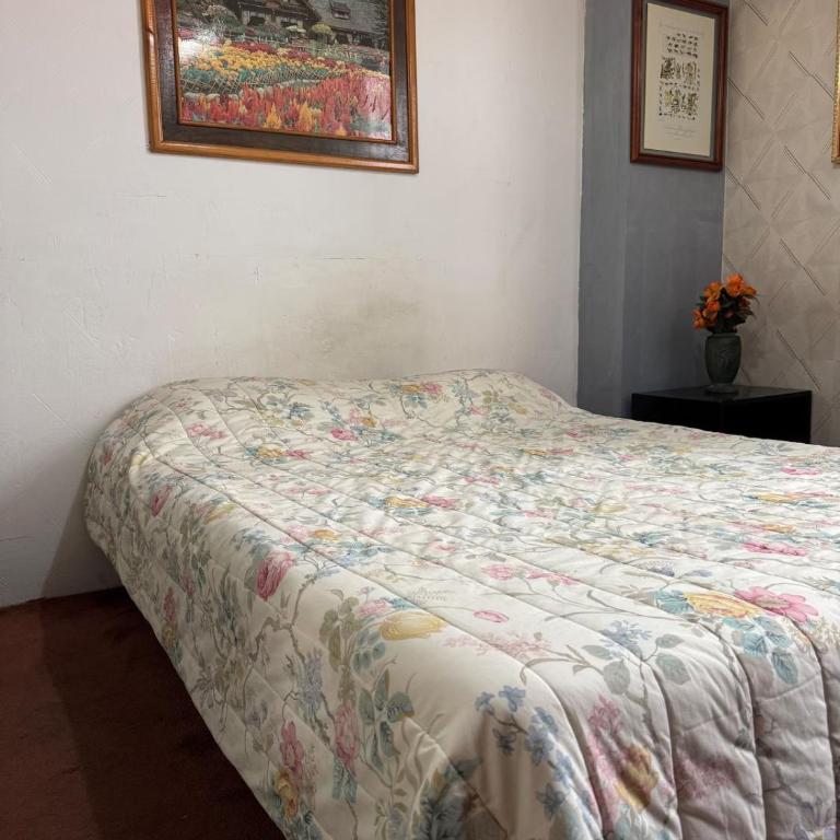 Vintage Apartment Narvarte & Art Gallery - Two-Bedroom Apartment - 12
