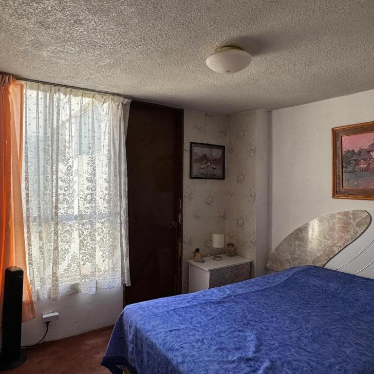 Vintage Apartment Narvarte & Art Gallery - Two-Bedroom Apartment - 22