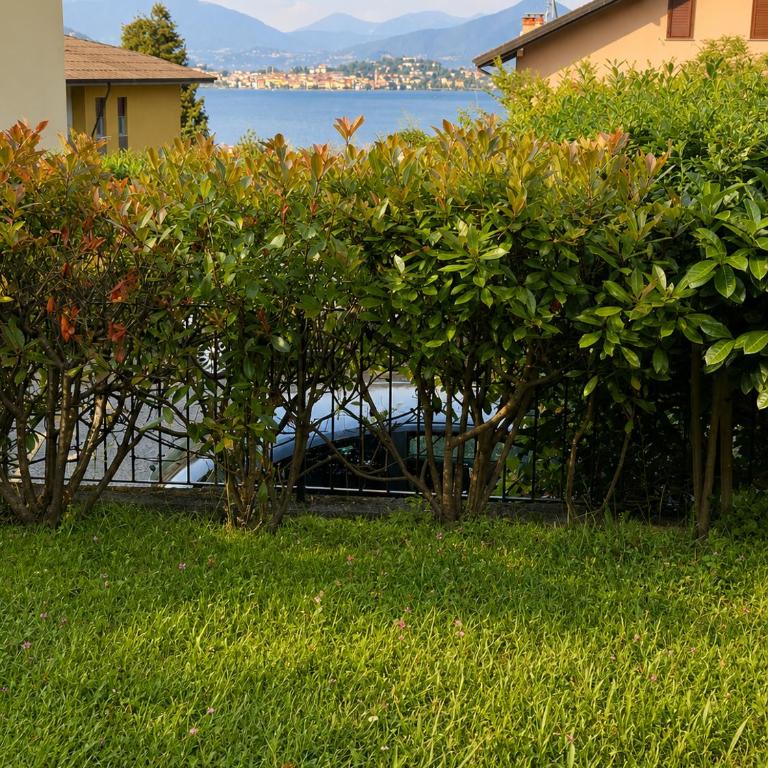 BELLAVISTA LAKE VIEW apartment with PRIVATE GARDEN - Appartamento con 1 Camera da Letto - 18